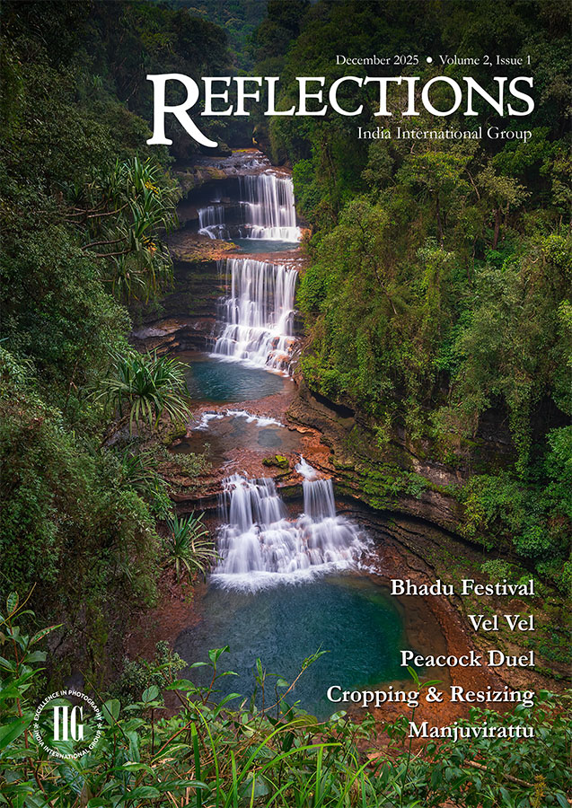 IIG Journal: Dec2025